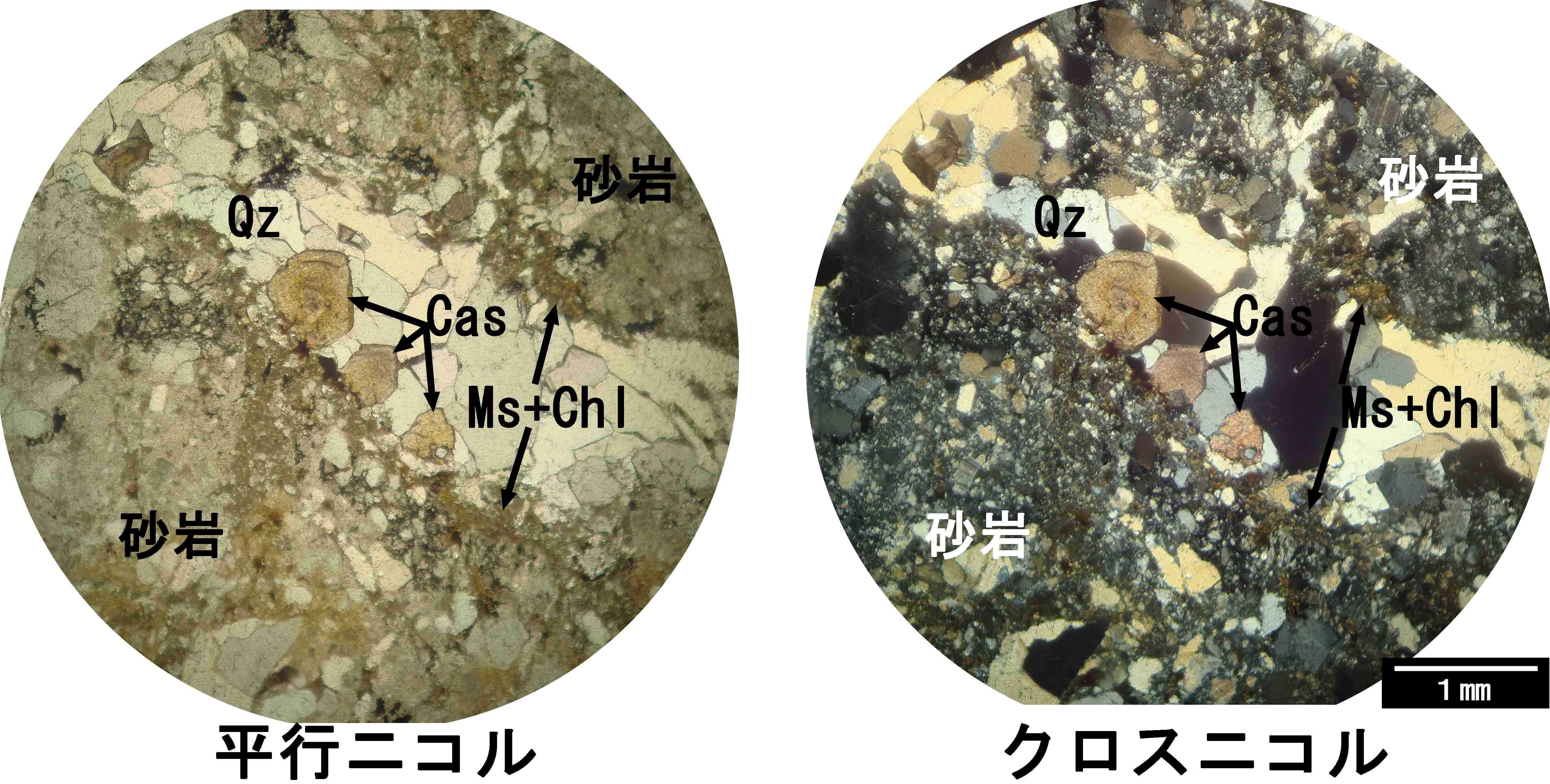 錫石（九連晶）　希少産地　鉱物標本 セレンディバイト 4 ミャンマー - 鉱物標本・隕石標本販売のWeb